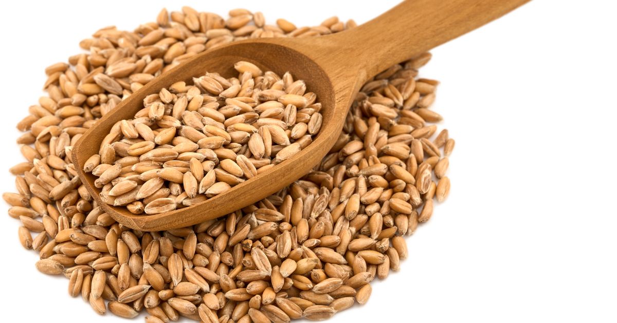 whole grain