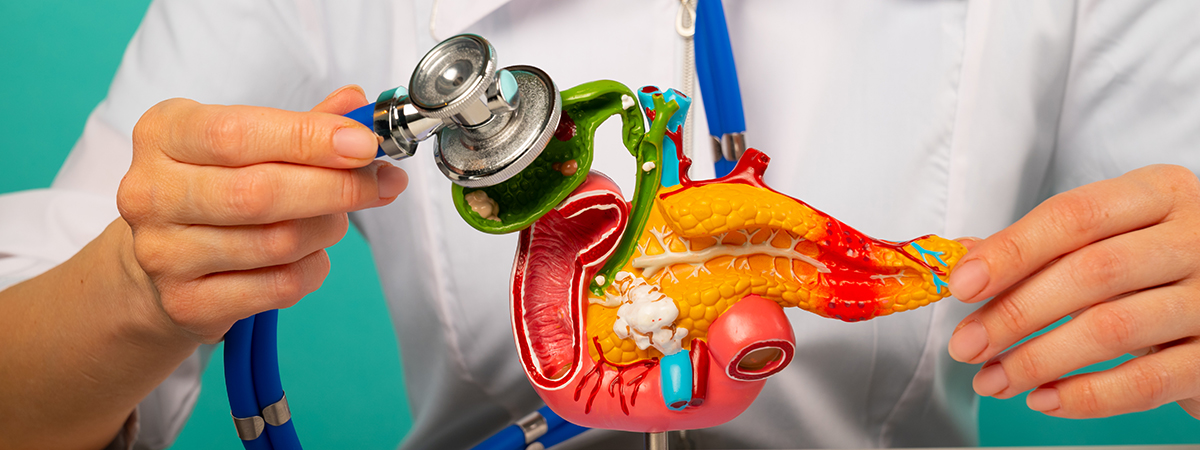 Radical Cystectomy and Neobladder - Services - Hope & Heal Cancer Hospital and Research Center