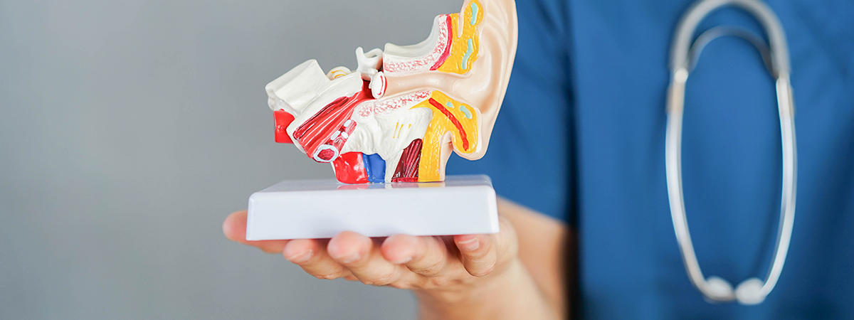 Radical Nephrectomy - Services - Hope & Heal Cancer Hospital and Research Center