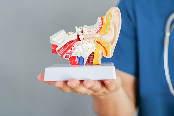 Radical Nephrectomy - Services - Hope & Heal Cancer Hospital and Research Center