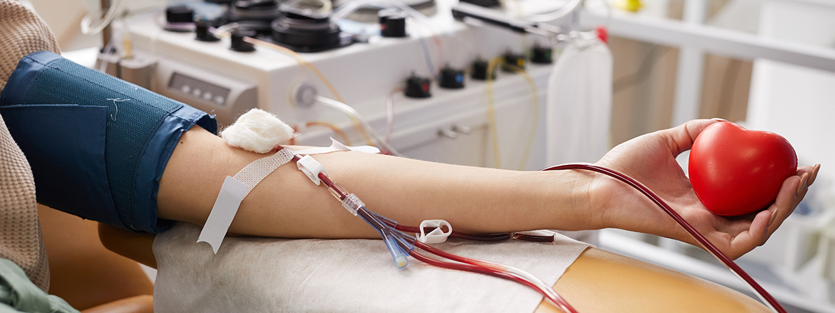 Tace & Vascular Embolization - Hope & Heal Cancer Hospital and Research Center