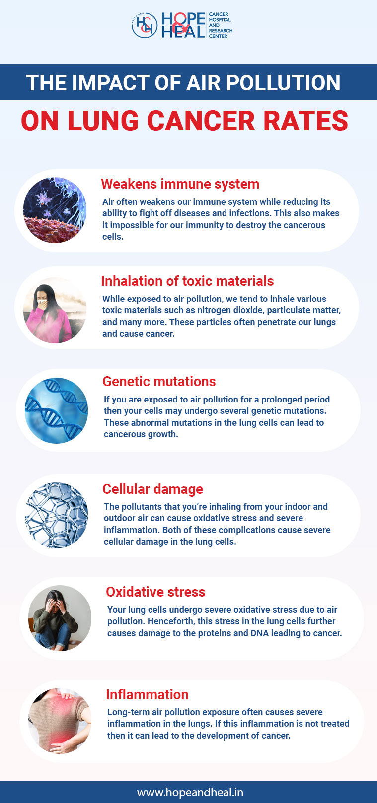 The Impact of Air Pollution on Lung Cancer Rates