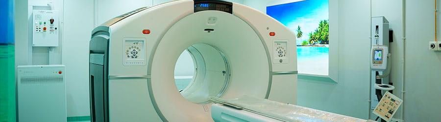 lung cancer specialist